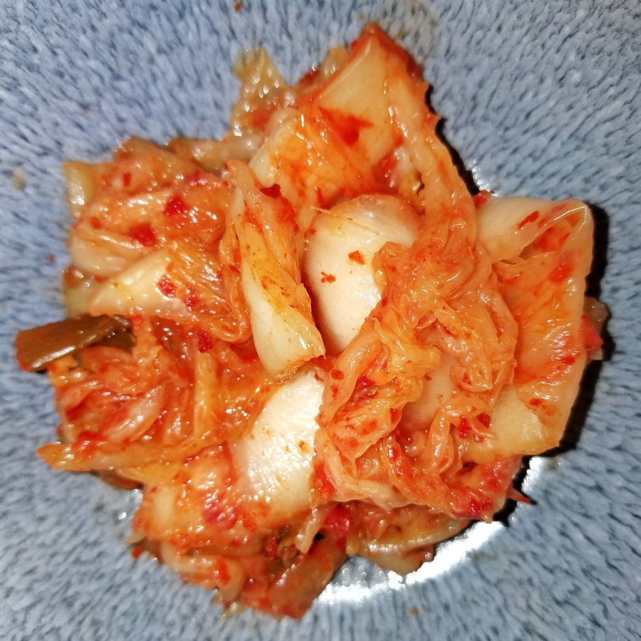 김치 참고 사진